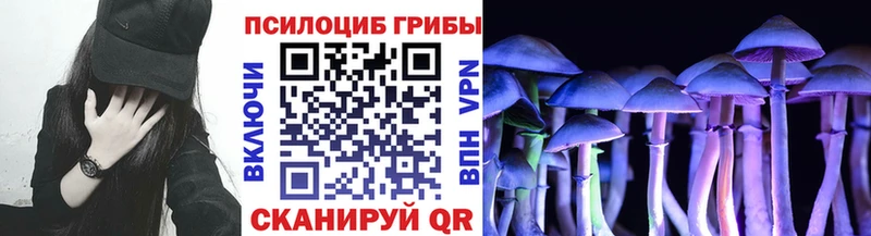 Купить где  Каменка  Галлюциногенные грибы мицелий 