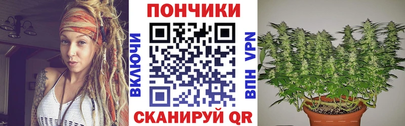 Конопля MAZAR  Купить  Каменка 